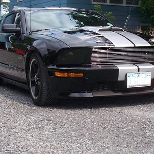 My Shelby GT
