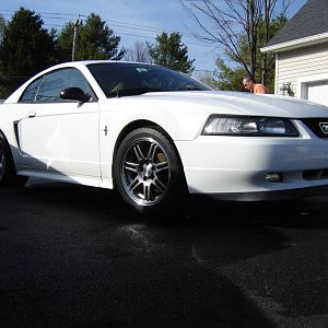 2002 Mustang: evolution