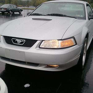 Resvon's Mustang 2