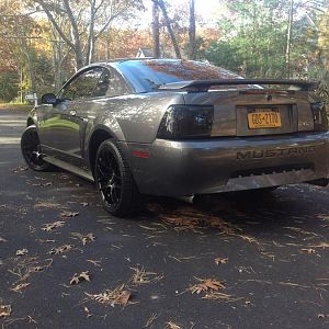 my old mustang