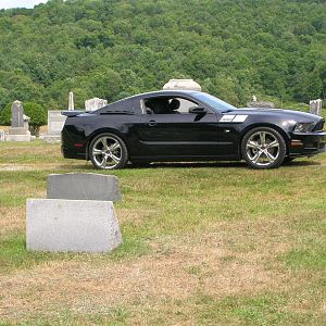 Mustang photo