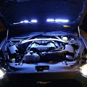 15 Mustang
