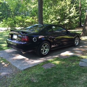 01 Stang