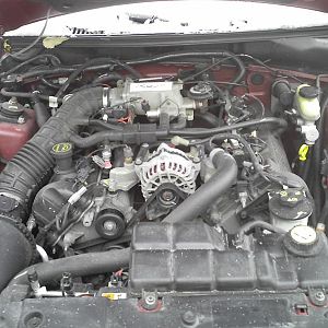 my engine w/ old intake (feb/09)
