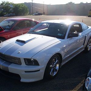 Shelby GT
