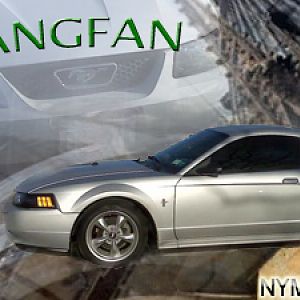 Mustangfan