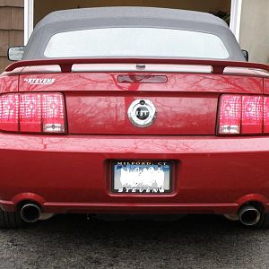Picture rear mustang
