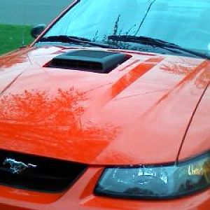 charlette's Mustang Mach 1 2004