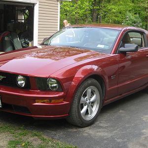 Mustang   April 2010 (1)