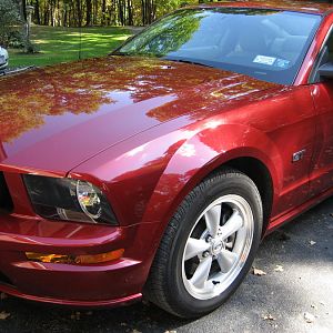 Mustang   October 2008 (3)