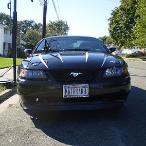 My Stang