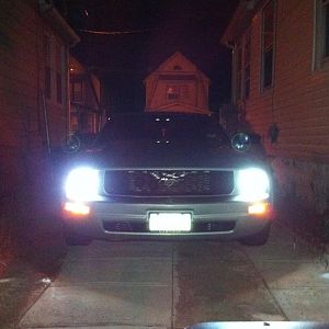 new hid'z