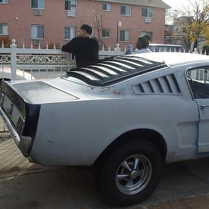 Mustang (2)