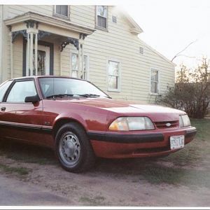 '88 LX I had, bought in '98 for $500 5.0 5spd and no options...loved that car