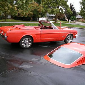 1965 split top fastback convertible
stang has been completly restored