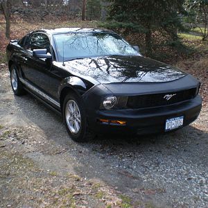 My 2007 Mustang 002