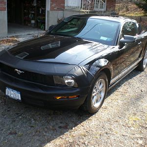 My 2007 Mustang 004