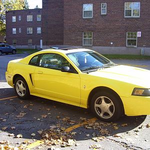 2002 Yellow Mustang (Tweety Bird)
5-Speed G6
75K Miles
Arizona Car
One owner
All Maintenance Records
Security system, moon roof, needs new tires