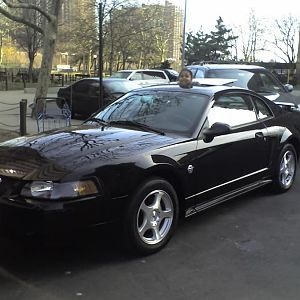 04 Mustang (11)