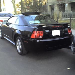 04 Mustang (1)