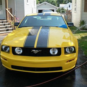 My Mustang 029