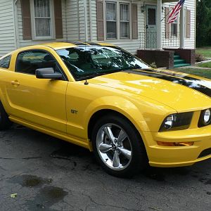 My Mustang 033
