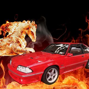 mustang on fire