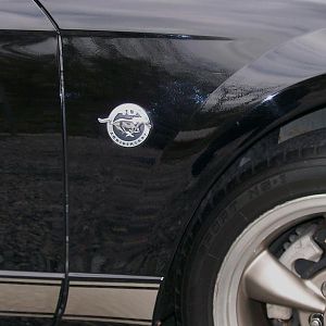2004  40th Anniversary GT (2) 003