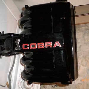 5.0 Cobra intake after