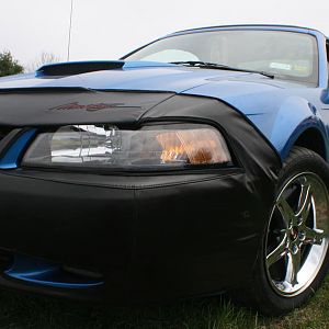 00 Mustang GT   2007