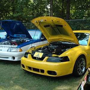 Mustang Rally 032