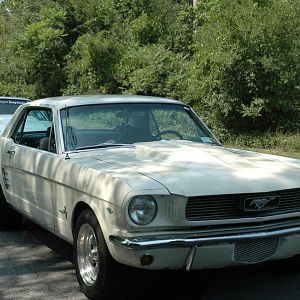 Mustang Rally 066