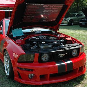 Mustang Rally 053