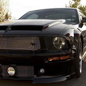 Mustang FRONT