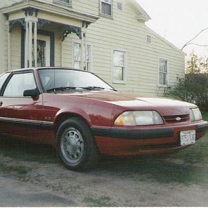 2nd Mustang I owned...'88 LX hatch no option 5spd!