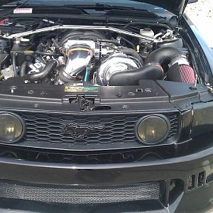 Engine Bay with Strut Support Bar