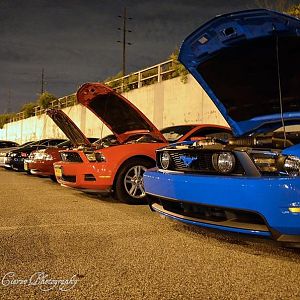 The Mustang Lineup