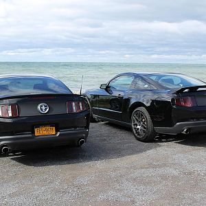 Hanging with Brandon out in Oswego. Mustang twins!