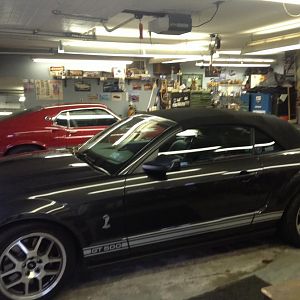 08 Shelby GT 500