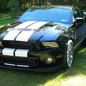 GT500 SHELBY 2 001