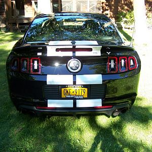 GT500 SHELBY 2 005