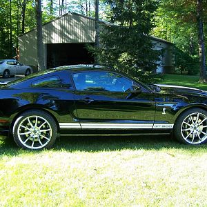 GT500 SHELBY 2 007