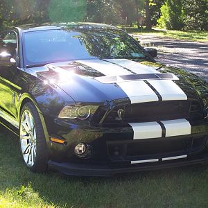 GT500 SHELBY 2 010