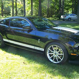 GT500 SHELBY 2 009