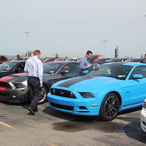 2014 50th Anniversary Mustang Show West Herr 031