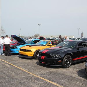 2014 50th Anniversary Mustang Show West Herr 035