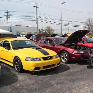 2014 50th Anniversary Mustang Show West Herr 041