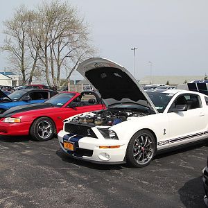 2014 50th Anniversary Mustang Show West Herr 043