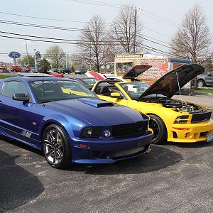 2014 50th Anniversary Mustang Show West Herr 045