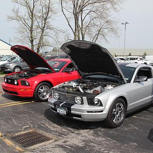 2014 50th Anniversary Mustang Show West Herr 046
